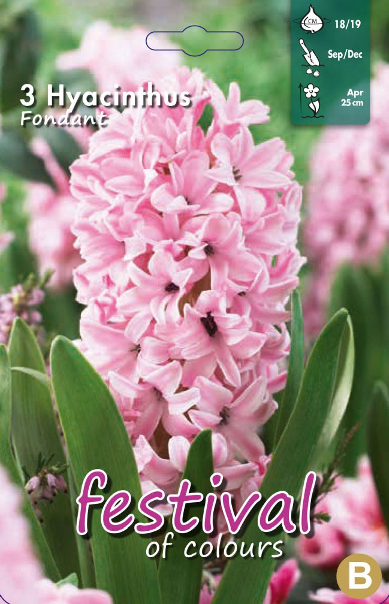 Hyacinths Fondant 3 stykk 